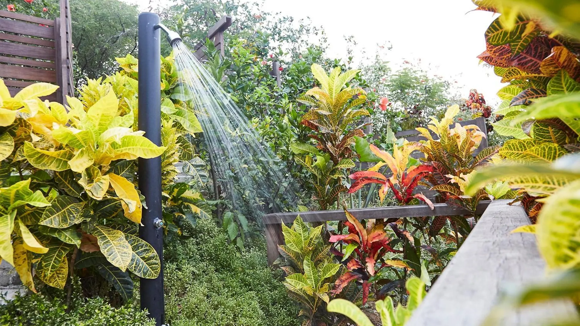 Secret Bay Hotell Portsmouth Dominica